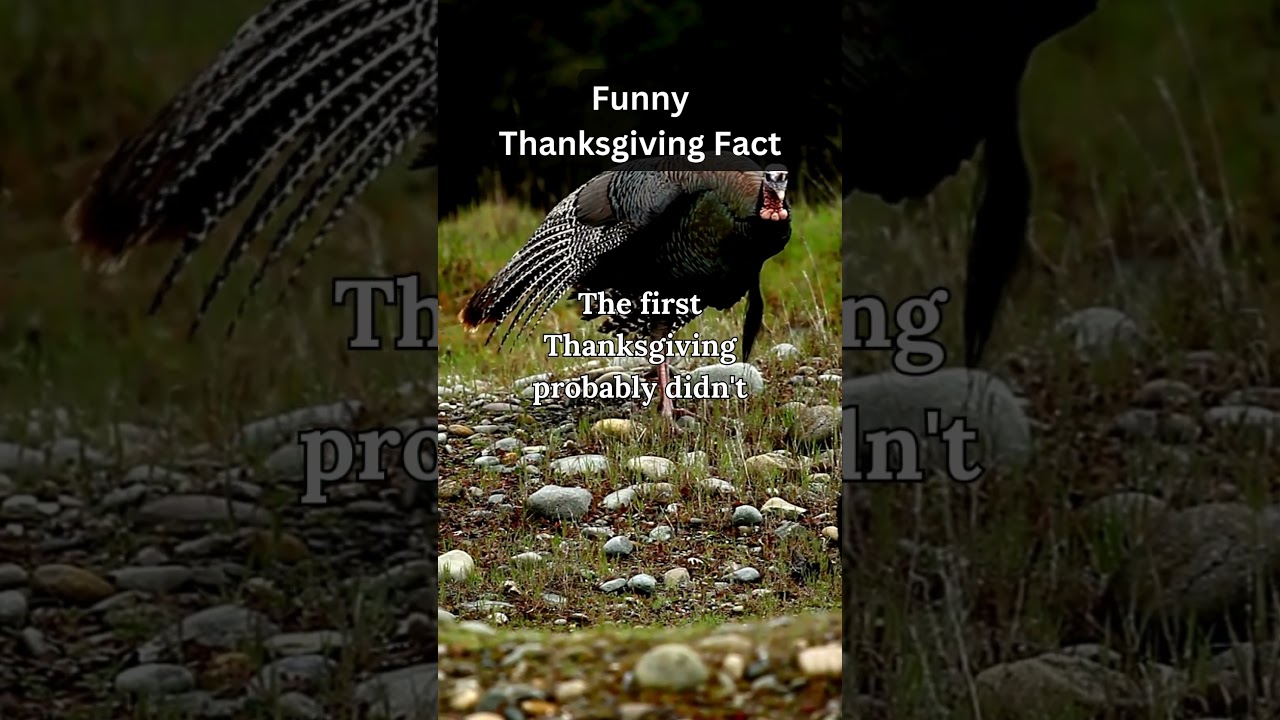 Happy Thanksgiving! Thanksgiving Facts! 