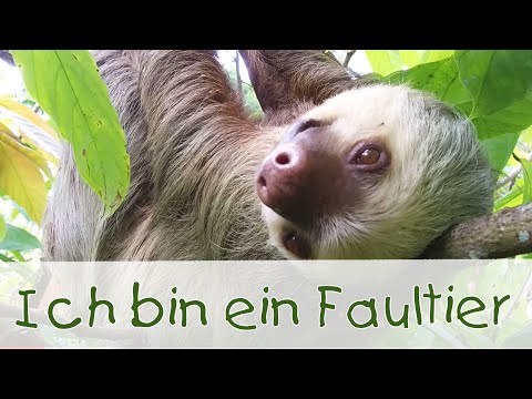 Ich bin ein