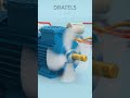 DIY Single Phase Motor Capacitor Wiring #viralshorts #viral #diy