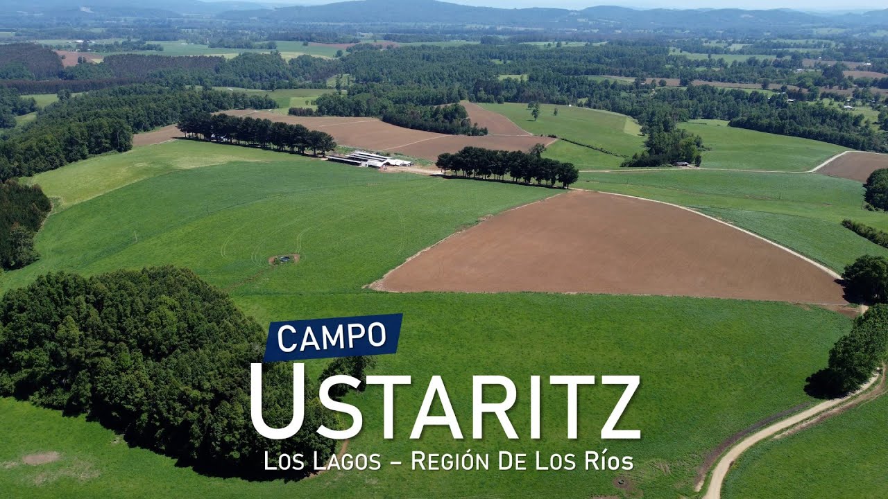 Campo Ustaritz, Los Lagos - Región de Los Ríos