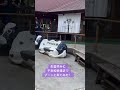 お盆で賑わう千本松牧場!いつもよりたくさんの人で賑わってる!!