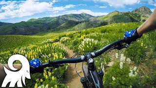 PRIME TIME in Sun Valley! | Mountain Biking Cow Creek