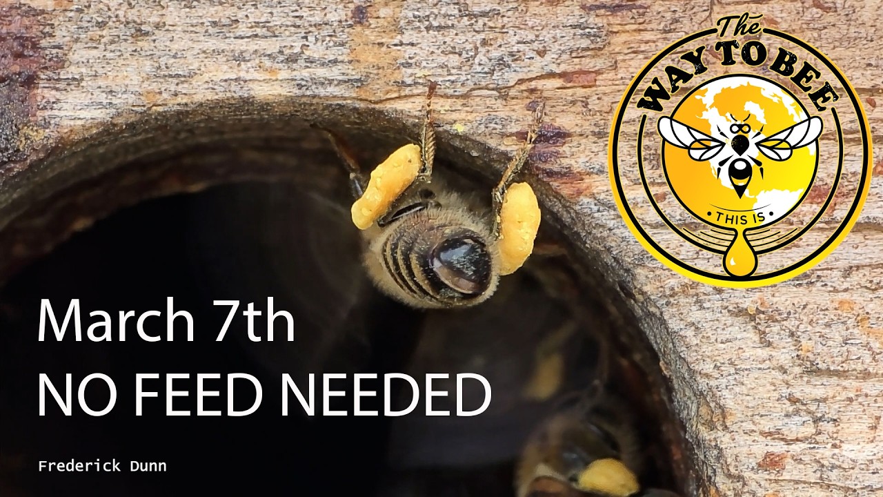 Observation Bee Hive for ALL Seasons, the key is frames in triples.