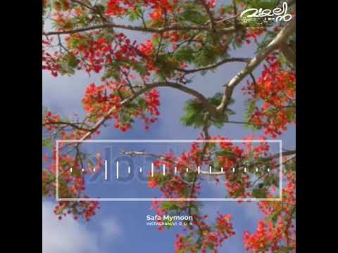 Sakhavu Malayalam Cover  ft Safa Mymoon  Violin Beats