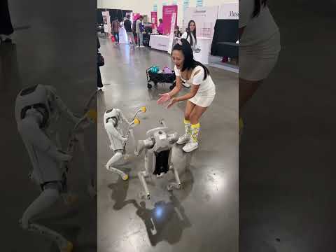 When you found robot dog in reality @Faradayfuture