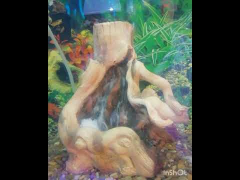 rizwan khan chemistry Beautiful Aquarium Sand Fall