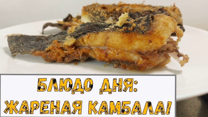 Үлкен қисық есектер мен сиськи