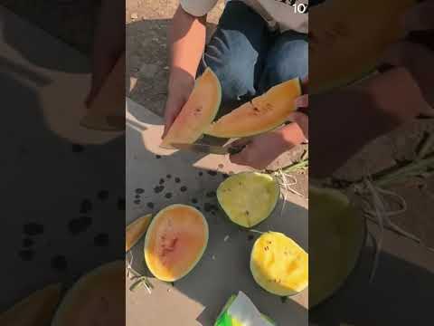 Cara cepat dan mudah memotong semangka dengan alat sederhana #shorts