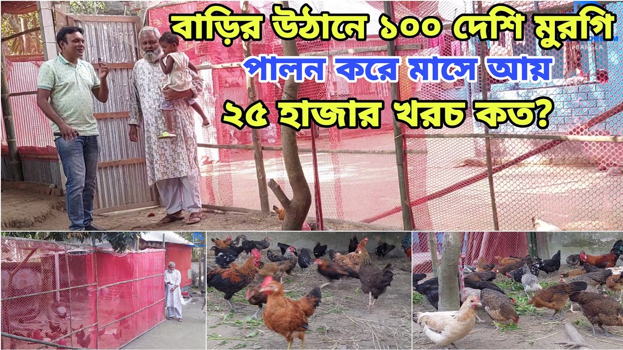 মাএ ২০ হাজার টাকায় সাবেক সেনা কর্মকর্তার সুন্দর দেশি মুরগির পরিকল্পিত খামার | আয় ব্যায়ের হিসাব