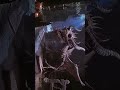 GoT Christmas E6.10 Tales From Old Valyria #got #chrismtas #fyp #viral #trends #trending