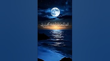 قرآن كريم بصوت جميل جدا النوم راحة نفسية اسلام صبحي 😌 🎧