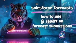 Salesforce Forecasts: How to Use Forecast Submissions to Capture Point in Time Forecasts Net Worth