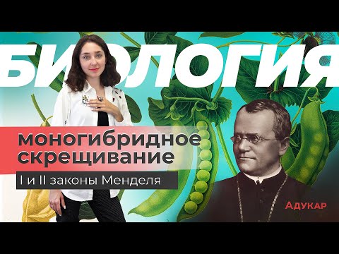 Моногибридное скрещивание. 1 и 2 закон Менделя | Биология ЕГЭ, ЦТ