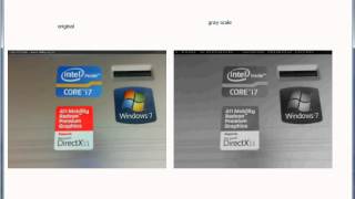 Famous Color to gray scale conversion demo Wealth