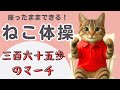 【ねこ体操】〜365歩のマーチ〜 こどもや高齢者にオススメ!