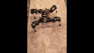 Walking robot gait test (four phase)