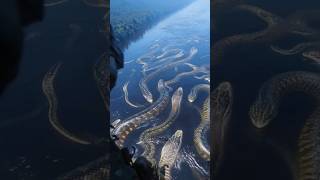 Amazon Rainforest me 1 Raat = Maut? 😨 #facts #science #shorts