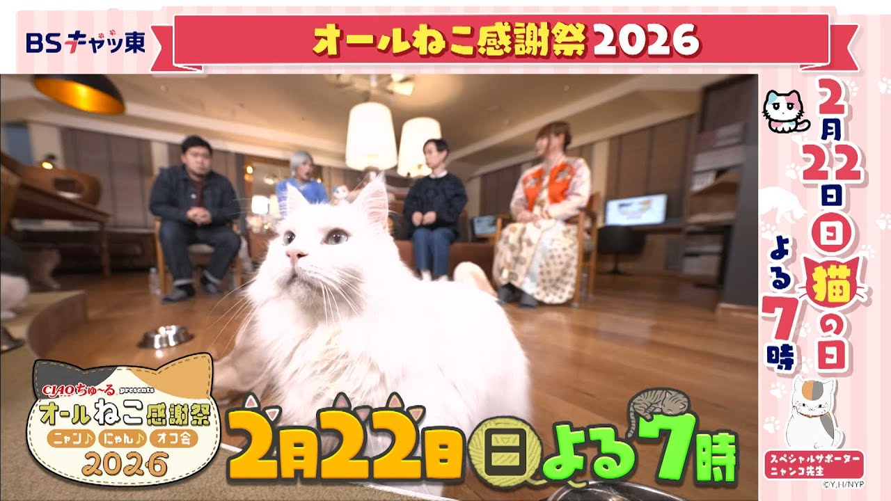 CIAOちゅ～るpresents オールねこ感謝祭！！ニャン♪にゃん♪オフ 