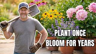 Celebrity 9 Lazy Perennials That Thrive on Total Neglect (Plant Once, Bloom for Years) Wealth