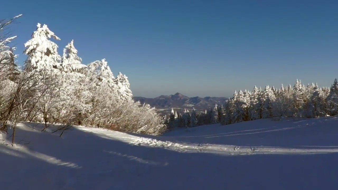 【Snowboard/TSUMAGOI/JAPAN】How beautiful !Ice Coating with trees.. YouTube