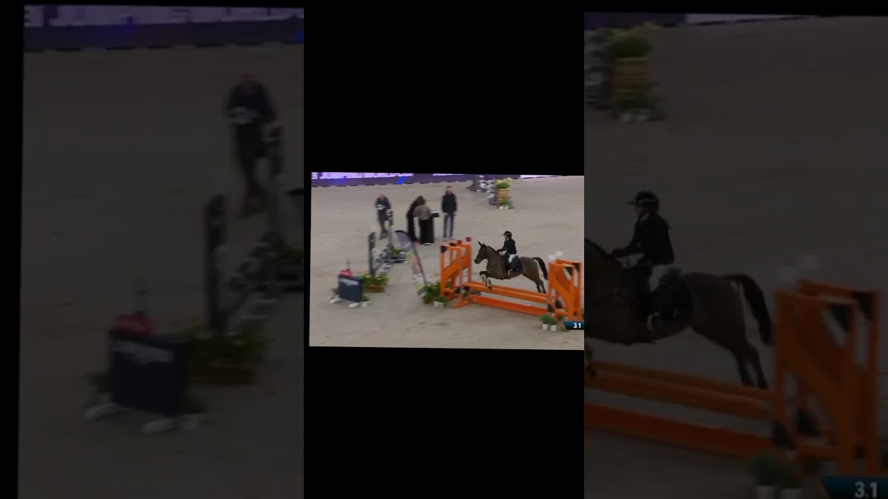 ❤️Jumping Amsterdam 2026, met Bally❤️