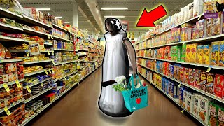 Granny Goes Shopping IN HER OWN STORE!!! (Granny Store Mod) | Granny Gameplay (Mods)