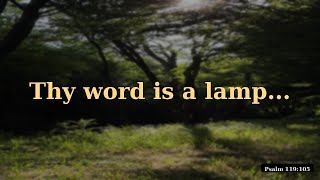 How to Know God's Will for Your Life | Psalm 119:105 #shorts