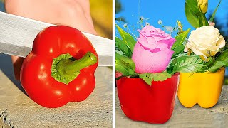 Plant Power in Minutes: 🌱 Garden Hacks Unleashed