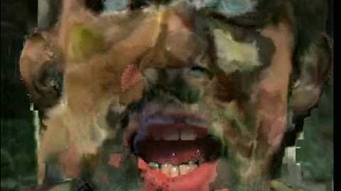 experiment 4 with datamoshing (facemosh)