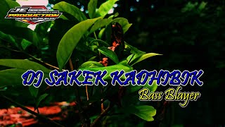 DJ Sakek Kadhibik Bass Blayer | Voc. Sonia Risca