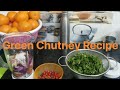 Fresh organic green chutney  from home garden  recipe