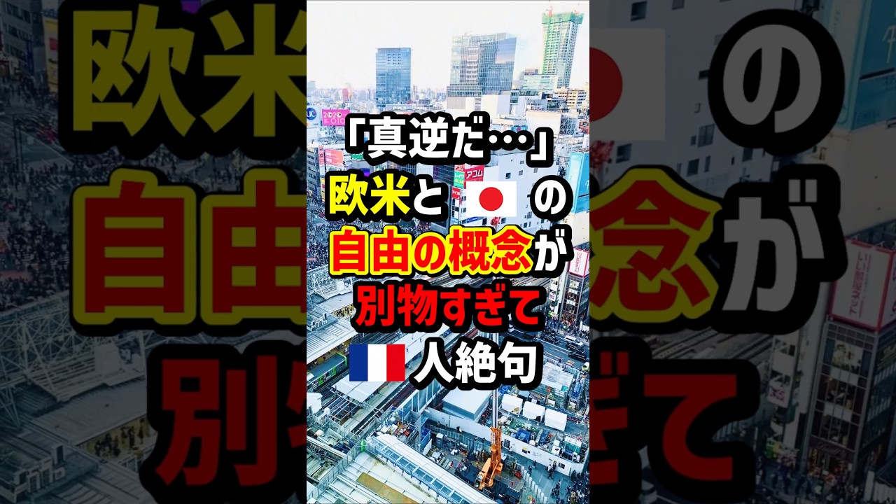 ｢真逆だ…｣欧米と🇯🇵の自由の概念が別物すぎて🇫🇷人絶句　#海外の反応