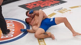 Bellator MMA: Terbaik Tahun 2017 (SEJAUH INI) - Bintang Baru screenshot 3