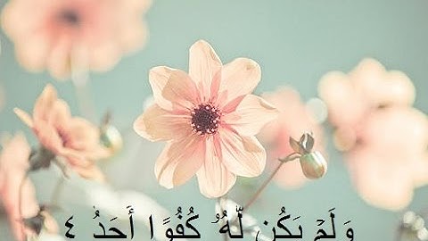 سورة الاخلاص قراءة خاشعة بصوت فضيلة الشيخ ادريس ابكر