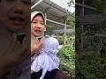 Timun Mini Rasanya Pahit Banget, di daerah kalian namanya apa?