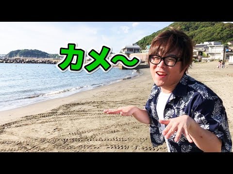 【笑ってはいけない】亀の歌。