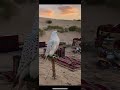 نســال عن الخلان ونعـز الاحباب واللي شــــرانا بالــغلا مااا نـبيعه