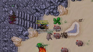 Tibia Aurora Top Frags Of The Week 2
