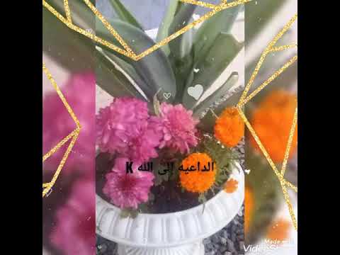 ربي نسألك صباحا تشرق فيه قلوبنا فرحا وعمل ا نرضيك به وقولا نتقرب به إليك صباح الانشراح