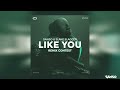 SANSO Slakeslagger Like You FNTS Remix Official Remix SANSO Slakeslagger Like You FNTS Remix Official Remix
