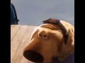 UP