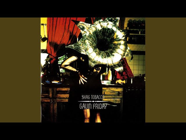 Gavin Friday - The Last Song I'll Ever Sing