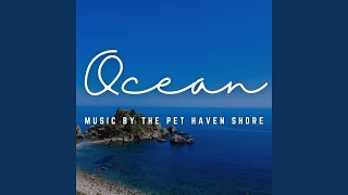 Oceanic Serenity for Pets Flow