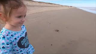 Outer Banks Beach Day December 29, 2018