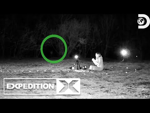 A Chilling Surprise In Draculas Forest | Expedition X | Discovery