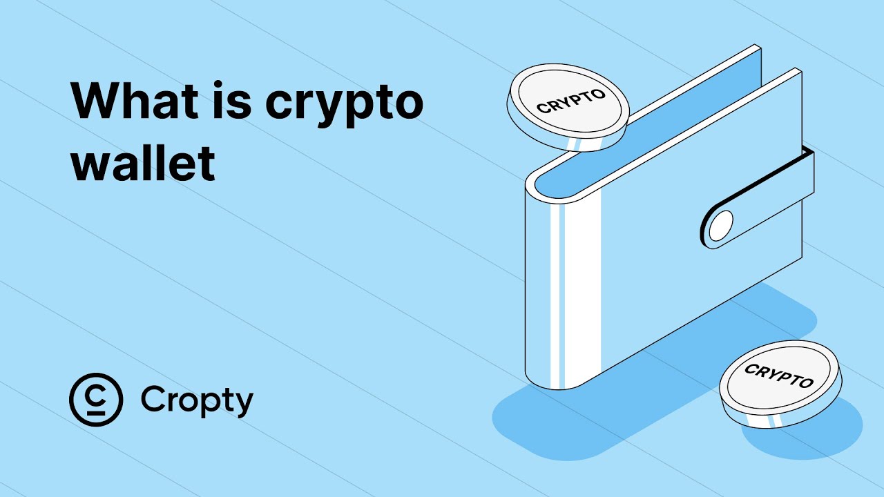Crypto wallets explained: what is crypto wallet and what you need to know  about it