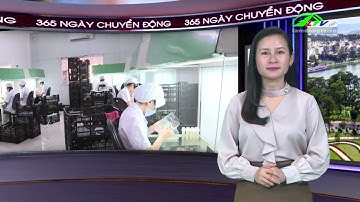 Đẩy mạnh các giải pháp phát triển nông nghiệp an toàn, bền vững | Lâm Đồng TV