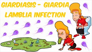 Giardiasis   Giardia lamblia Infection