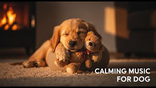24 Hours of Dog TV : Calming Music for Anxious Dogs Left Alone, Promotes Relaxation & Sleep 😴🐕🏡 screenshot 2