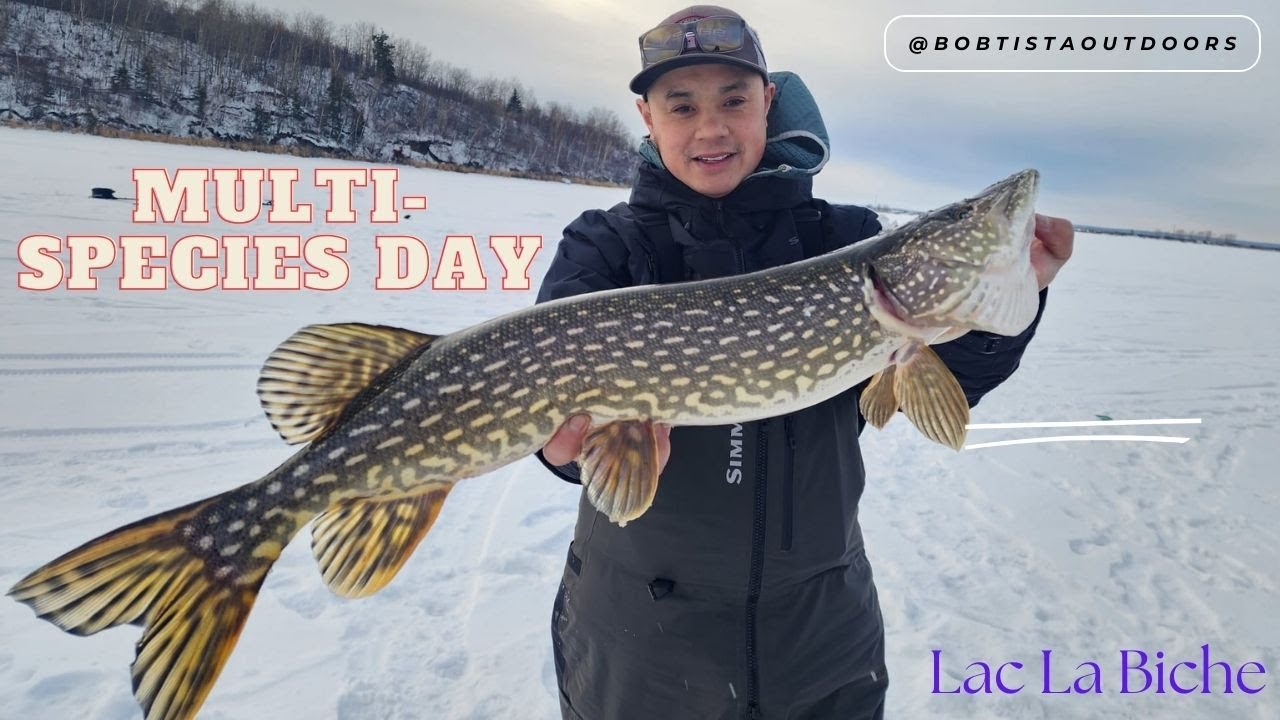Multispecies ice fishing day at Lac La Biche Alberta YouTube